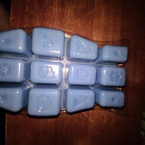 Luna scentsy brick of wax